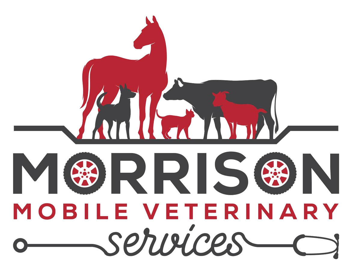 Morrison Veterinarian Services